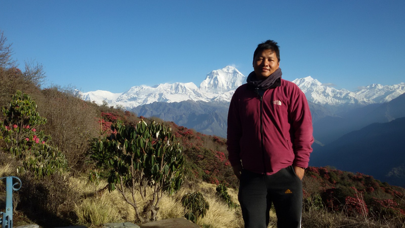 Three Spectacular Himalayan Adventures: Annapurna Base Camp, Manaslu Circuit, and Langtang Valley Treks